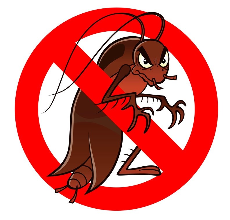 Best Disposable Cockroach Bait Traps: Effective Solutions for Pest Control