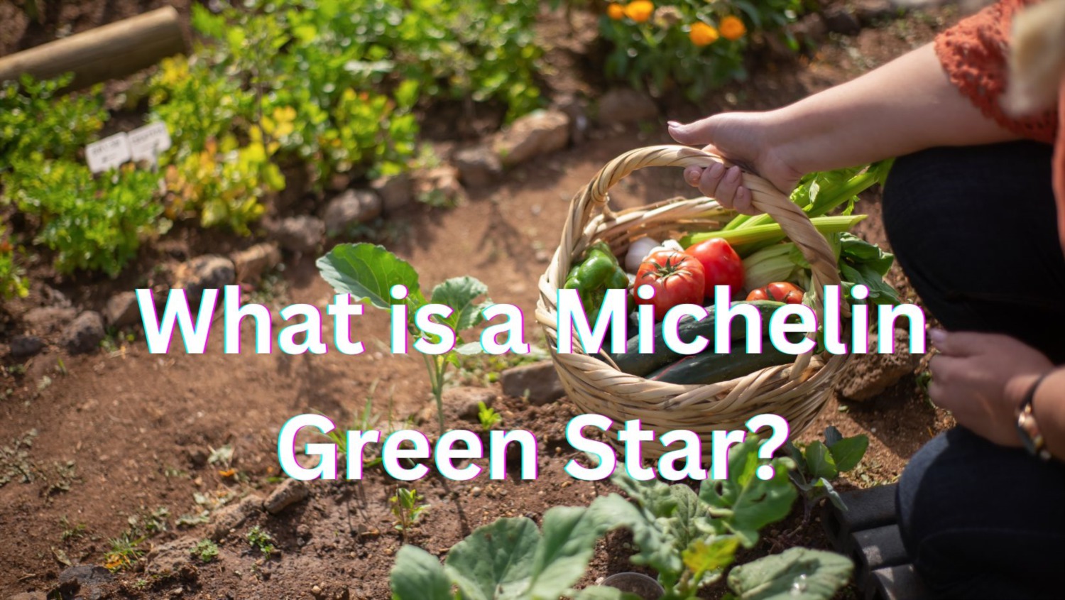 What is a MICHELIN Green Star?