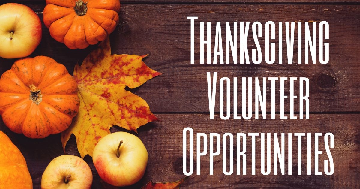 Donate & Volunteer this Thanksgiving