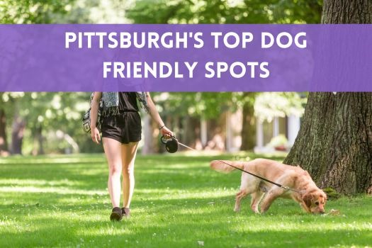 Pittsburgh's Top Dog Friendly Spots: Make It a Day With Your Furry