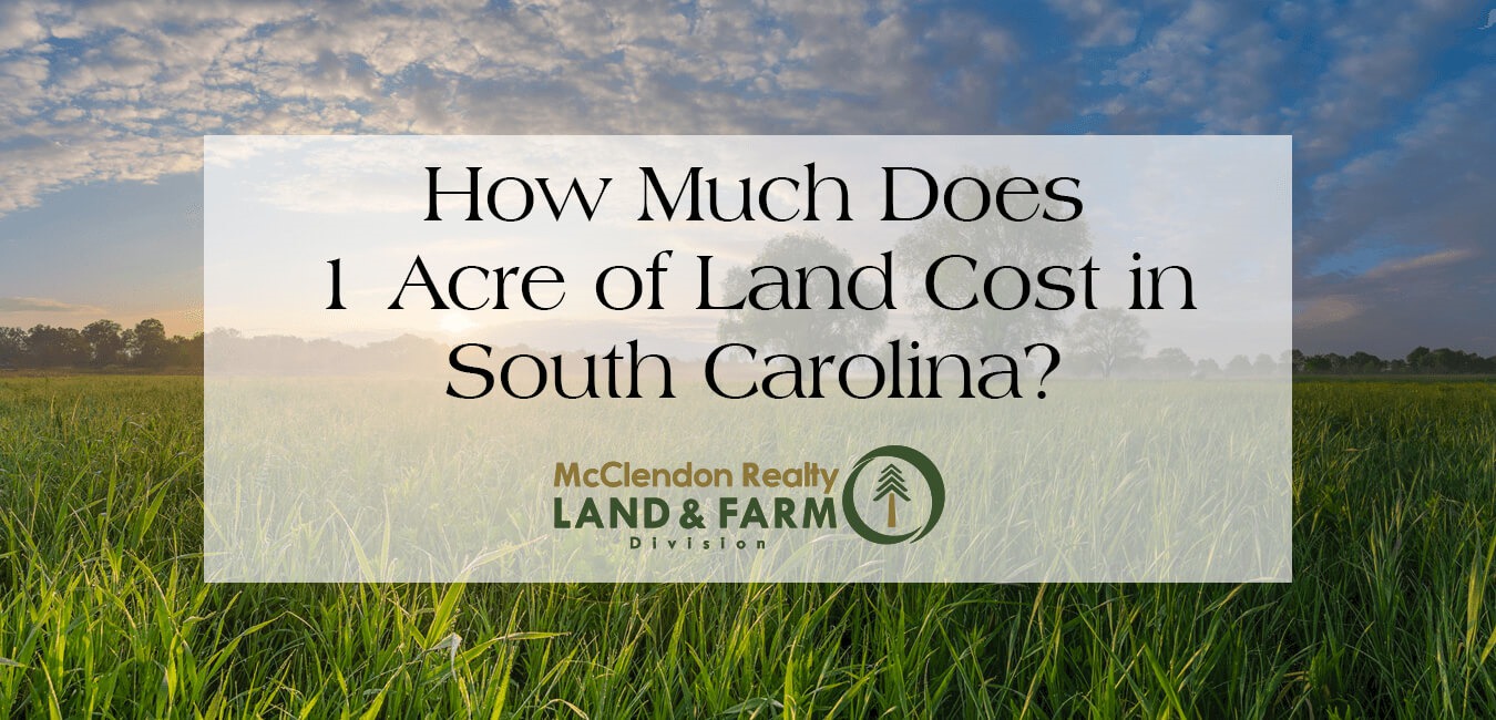 How Much Does 1-Acre of Land Cost in South Carolina? Exploring Land ...