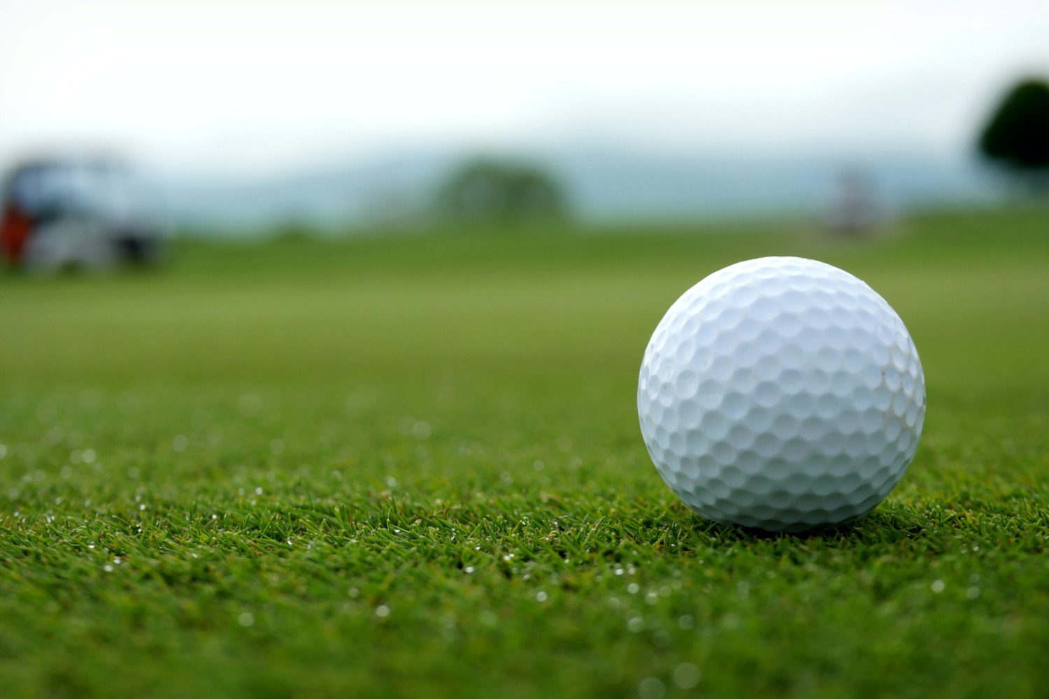 Best Golf Courses Near Downtown Sarasota