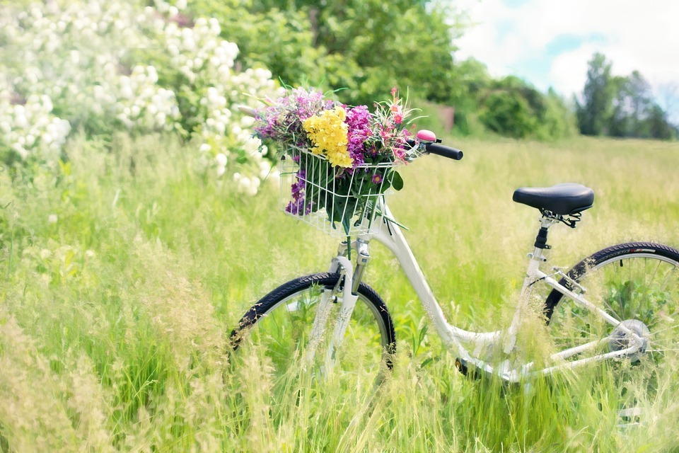 A Quick Guide To The Madison Bike Share Program