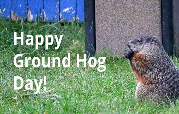 Will Punxsutawney Phil See the Sun Today? Happy Ground Hog Day!