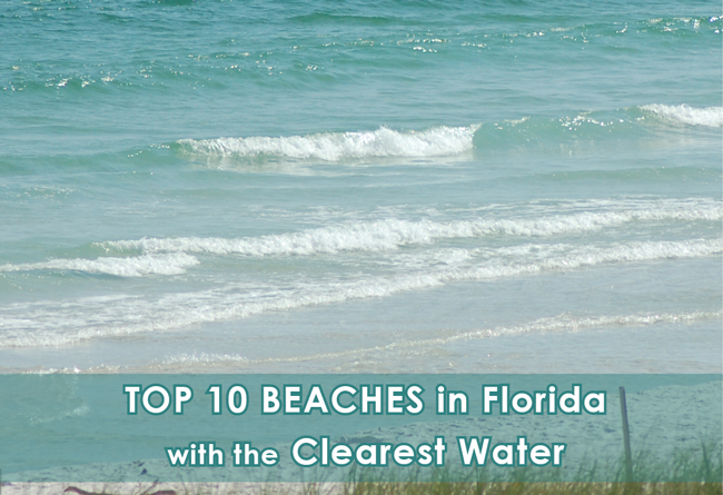 https://assets.site-static.com/blogphotos/662/27825-top-10-beaches-in-florida-with-the-clearest-water-march-2022.png