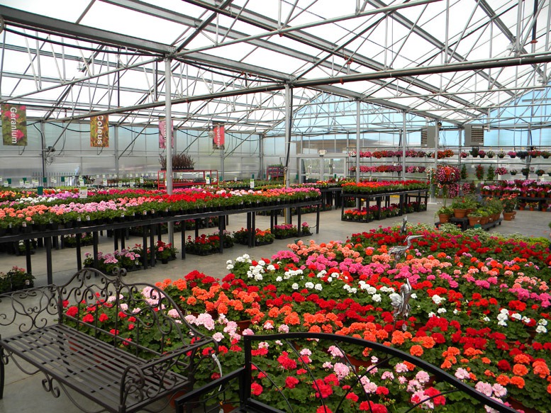 Bachman’s Announces No Neonicotinoids in Plants This Spring
