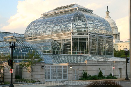 Is Washington DC Home to Any Arboretums?