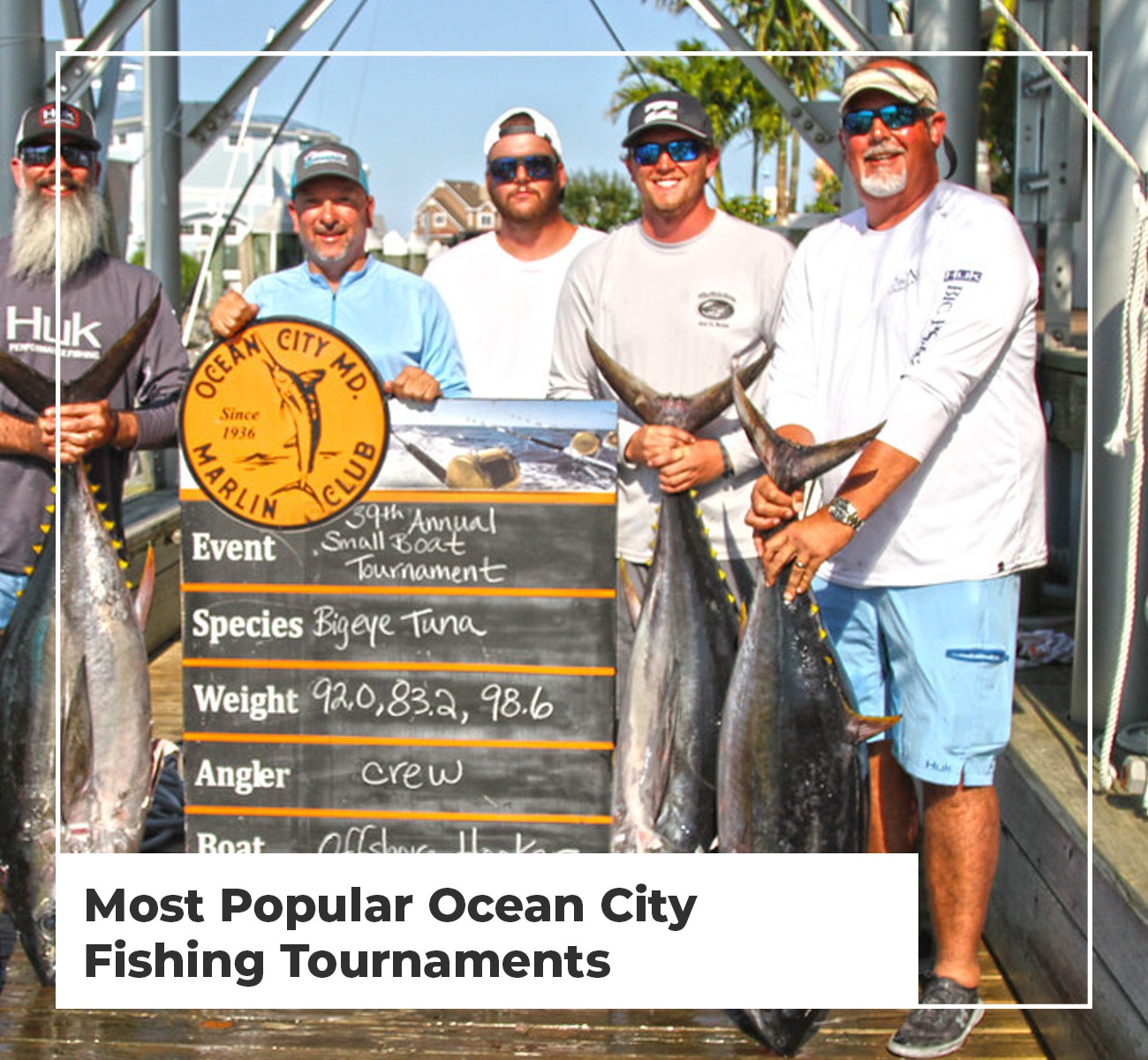October Bigeye - Ocean City MD Fishing