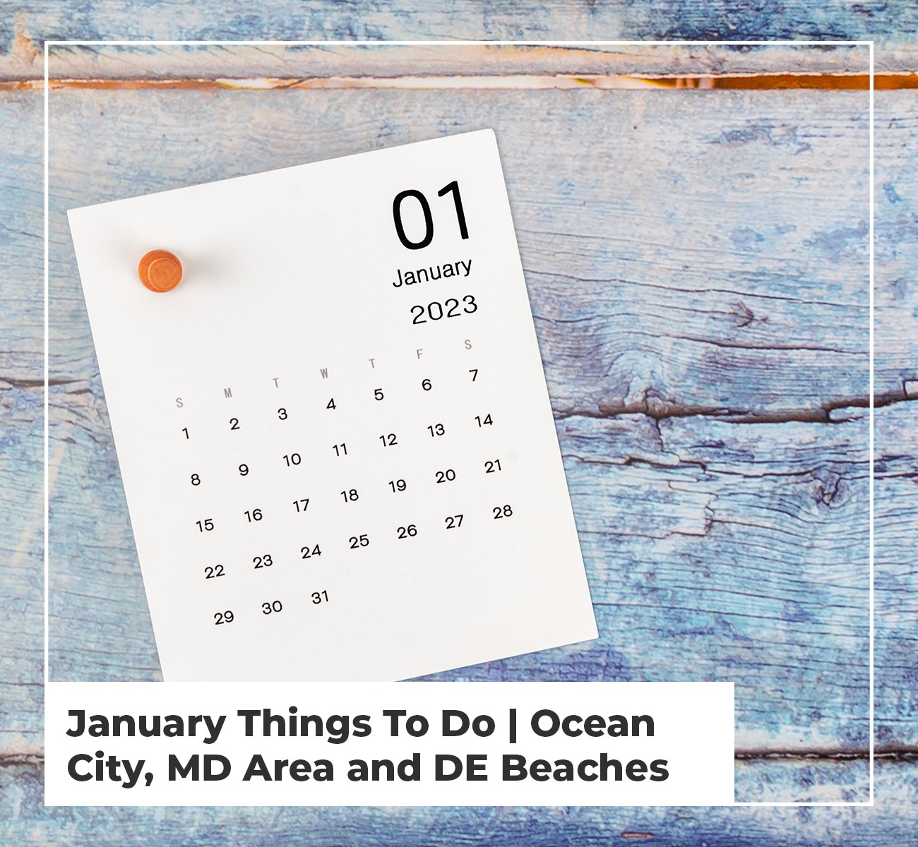 January Things To Do Ocean City, MD Area and DE Beaches