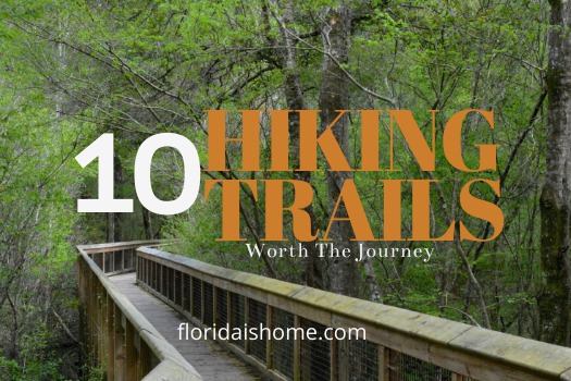 Wekiwa Springs Wet to Dry Trail – Florida Hikes