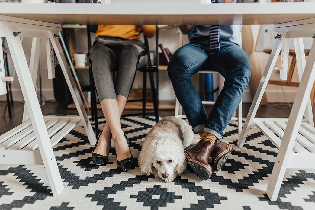 how do you dog proof cabinets