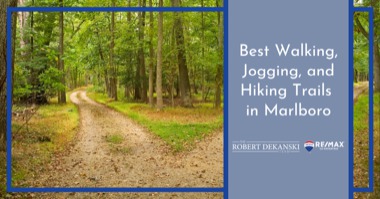 5 Marlboro Walking Trails & Hiking Areas: Walk, Jog & Hike Near Your Neighborhood 