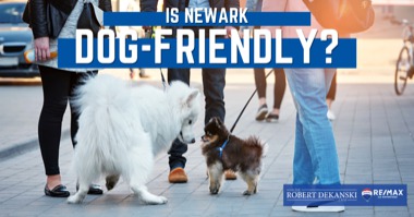 Dogs Love Newark: A Guide to Newark Dog Parks, Pet-Friendly Restaurants & Hotels