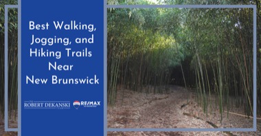 New Brunswick Trails: Best Walking Trails, Running Paths & Hiking Near New Brunswick
