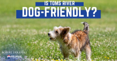 Toms River Dog Parks: How Dog-Friendly is Toms River, NJ?