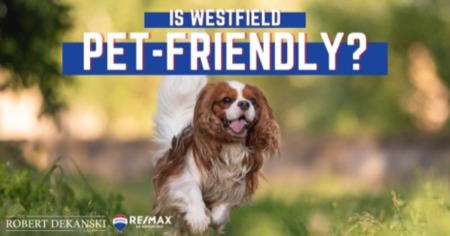 Westfield Dog Parks: How Dog-Friendly is Westfield, NJ?
