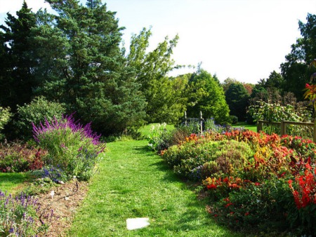 What might you Discover at the Rutgers Gardens?