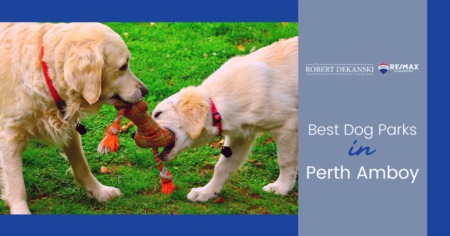 Best Dog Parks in Perth Amboy: Discover Perth Amboy Dog Parks