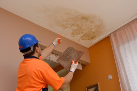 What to Do When Buying a House with Water Damage