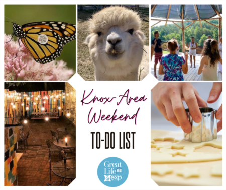 Weekend To Do List - Socially Distant Edition 