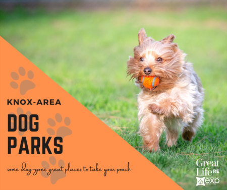 Dog-gone Great Dog Parks in the Knoxville Area 