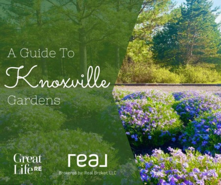 A Guide To Knoxville Gardens 
