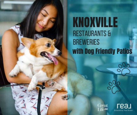 Knoxville Restaurants & Breweries with Dog Friendly Patios