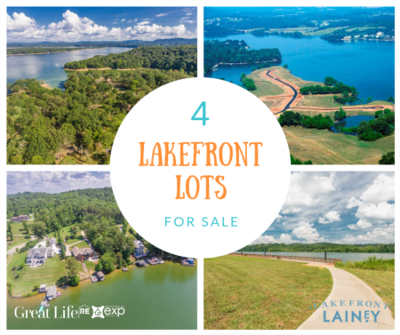 4 Lakefront Lots For Sale