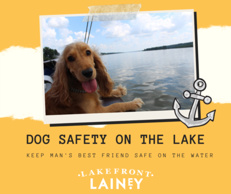 Dog Safety At The Lake 