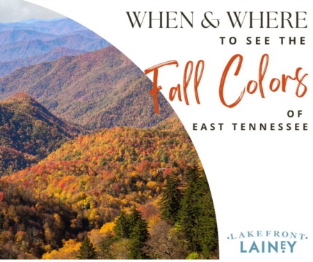 When and Where To See The Fall Colors in East TN