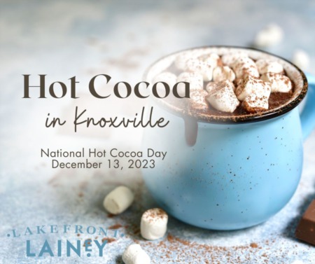 National Hot Cocoa Day