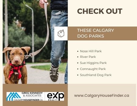 Dog Parks in Calgary