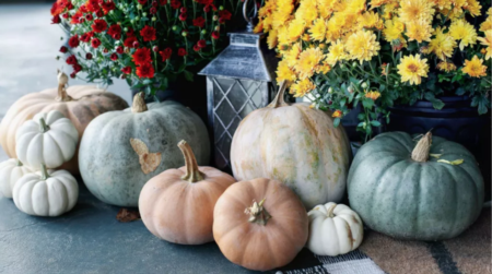 How Does Vinegar Prevent Pumpkins From Rotting?