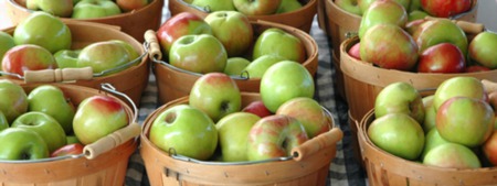 A guide to Connecticut's Apple Orchards for 2022