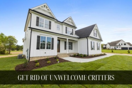 Get Rid of Unwelcome Critters In Connecticut 