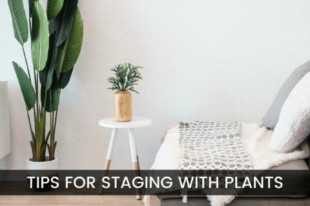 Tips for Staging with Plants In Connecticut