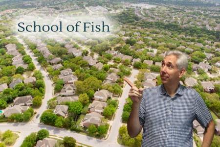 Buyers Are Like School of Fish