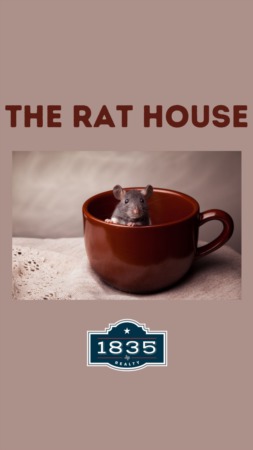 Rat House