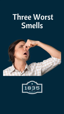 Three Worst Odors