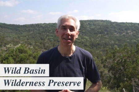 Discover Austin: Wild Basin Wilderness Preserve