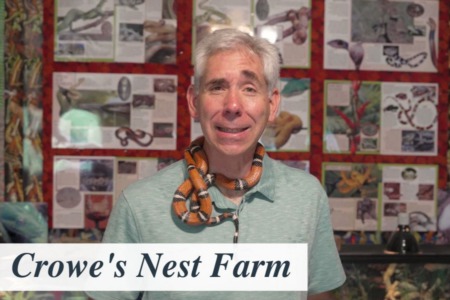 Discover Austin: Crowe's Nest Farm