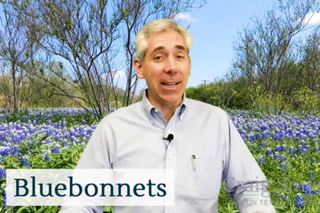 Discover Austin: Bluebonnets - Episode 8