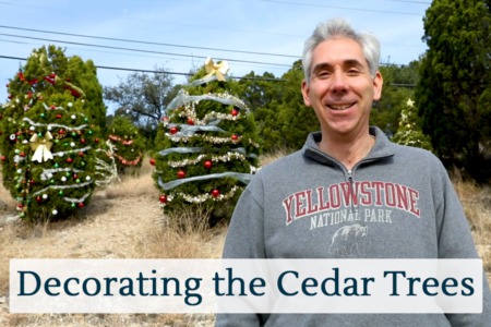Discover Austin: Decorating the Cedar Trees - Episode 27