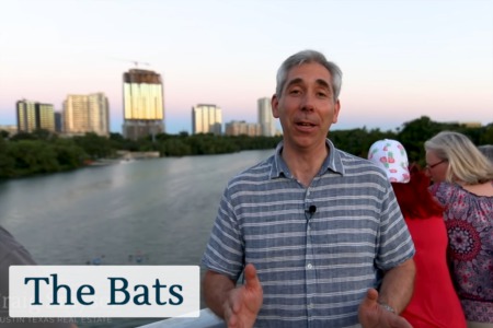 Discover Austin: The Bats - Episode 41