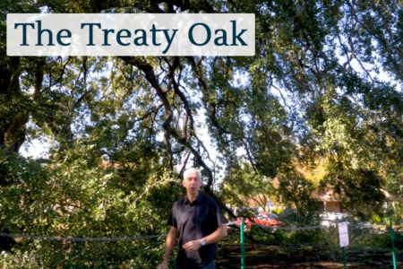 Discover Austin: The Treaty Oak - Episode 65