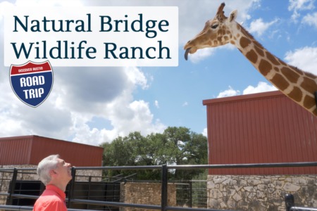 Discover Austin: Natural Bridge Wildlife Ranch - Episode 80
