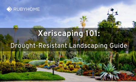 Xeriscaping 101: Drought-Resistant Landscaping Guide