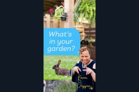  It's Tuesday, and that means it's time for another great episode of 'What's in Your Garden?' Join us as Mrs. Karen Peppers'