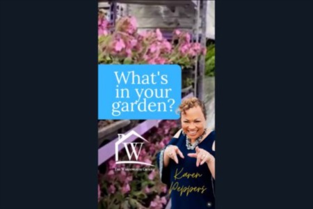 It's Tuesday, which means it's time for the latest captivating episode of 'What's in Your Garden?'