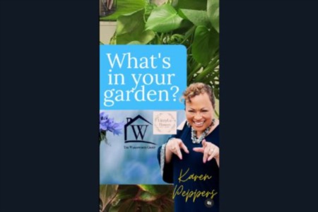 It's Tuesday, and we're back with the latest captivating episode of 'What's in Your Garden?'